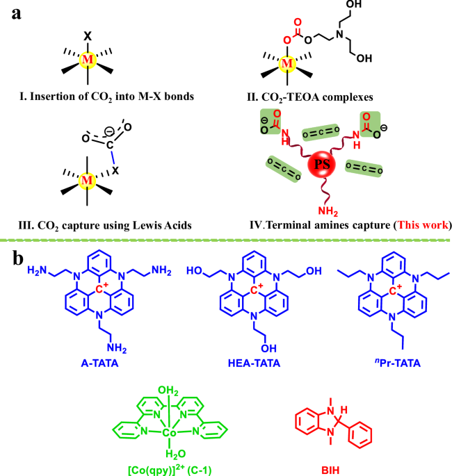 Amino-substituted triazatriangulenium photosensitizers for CO2 capture and aminocarbonylation to amides nature.com/articles/s4146…