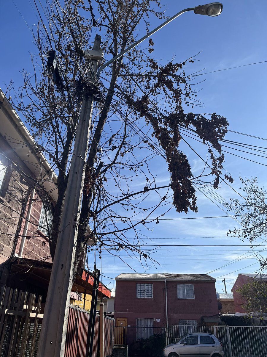 Estimados <a href="/mpuentealto/">Municipalidad de Puente Alto</a> favor necesito de su ayuda, fuera de mi casa hay un árbol con un gancho desprendido, los vecinos reclamaron a la administración y ellas consideran que es mi responsabilidad, la verdad ese árbol es parte del condominio, pueden considerar corte o poda de este