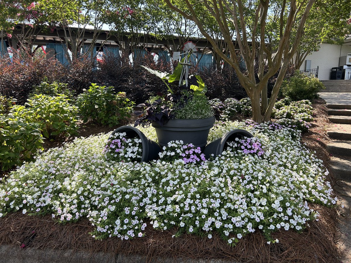 TPC Piper Glen Agronomy tweet media