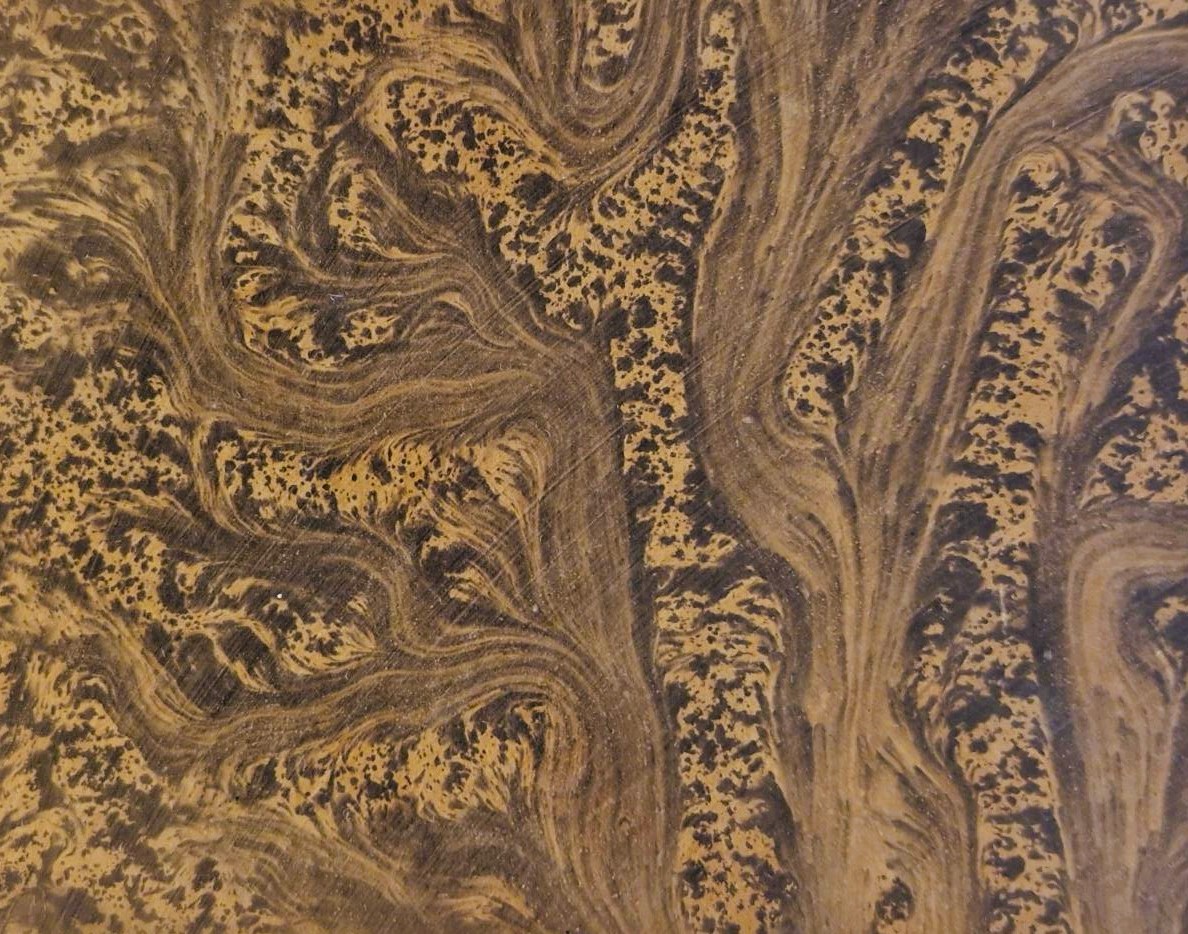 A forest of books: tree calf bindings in Cardiff's collections scolarcardiff.wordpress.com/2025/07/04/a-f… via <a href="/CUSpecialColls/">Cardiff University Special Collections & Archives</a>