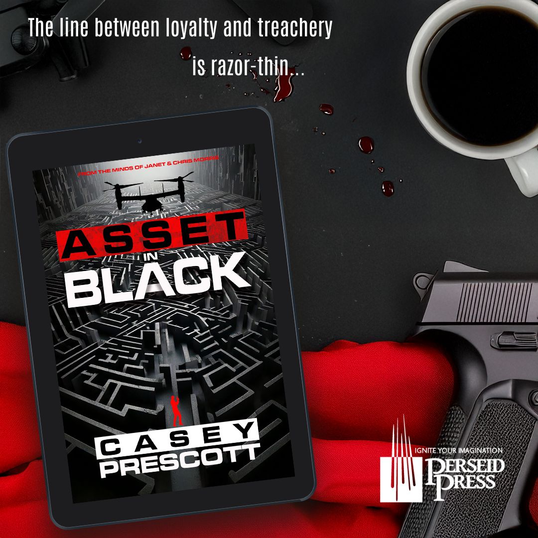 In black operations you're only as good as your network, so you spend a lot of time studying the people you're working with. Cory Hunt has only a day to take the measure of helpers who will have his life in their hands.amzn.to/3Yc10F0 
#PerseidPress #TechnoThriller