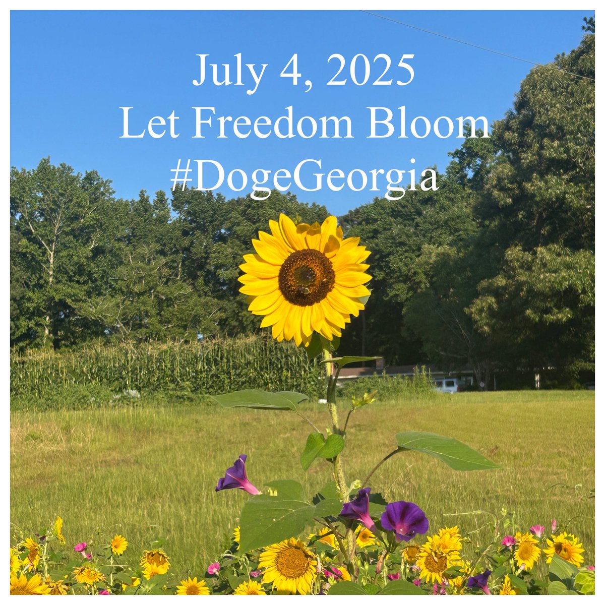 DOGE Georgia (@dogegeorgia) on Twitter photo Happy Independence Day from <a href="/DogeGeorgia/">DOGE Georgia</a>! 🇺🇸 Let’s celebrate freedom, and the pursuit of happiness with some Doge spirit! 🐶🎉 #4thofJuly #DogeArmy #Freedom
#DogsOfGovernmentEfficiency
#JointhePack
#BarkForEfficiency
<a href="/DogeHallCounty/">Hall County Georgia</a>
<a href="/DOGECherokee/">NEVER FORGET</a>
<a href="/DOGEGaACC/">@DOGE Athens Clarke County</a>
<a href="/DogeFulton/">@DOGE Fulton</a> Happy Independence Day from <a href="/DogeGeorgia/">DOGE Georgia</a>! 🇺🇸 Let’s celebrate freedom, and the pursuit of happiness with some Doge spirit! 🐶🎉 #4thofJuly #DogeArmy #Freedom
#DogsOfGovernmentEfficiency
#JointhePack
#BarkForEfficiency
<a href="/DogeHallCounty/">Hall County Georgia</a>
<a href="/DOGECherokee/">NEVER FORGET</a>
<a href="/DOGEGaACC/">@DOGE Athens Clarke County</a>
<a href="/DogeFulton/">@DOGE Fulton</a>