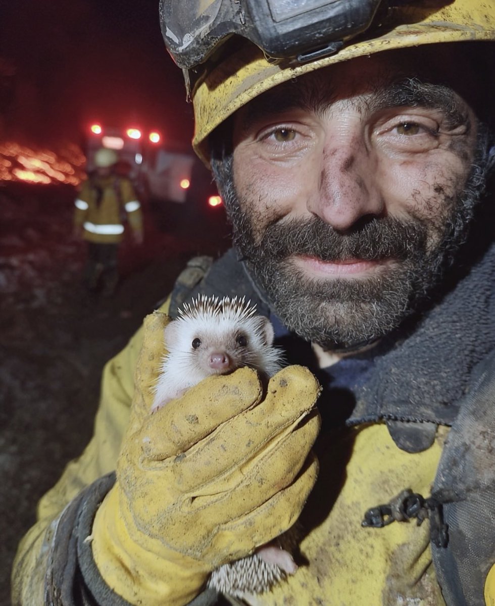 Bu insanların yüzlerini unutmayın kötüyle iyinin savaşındaki İYİ insanlar onlar . Bu ülkede gündem olması ve asla unutulması gereken insanlar bunlar . 
 #izmiryanıyor