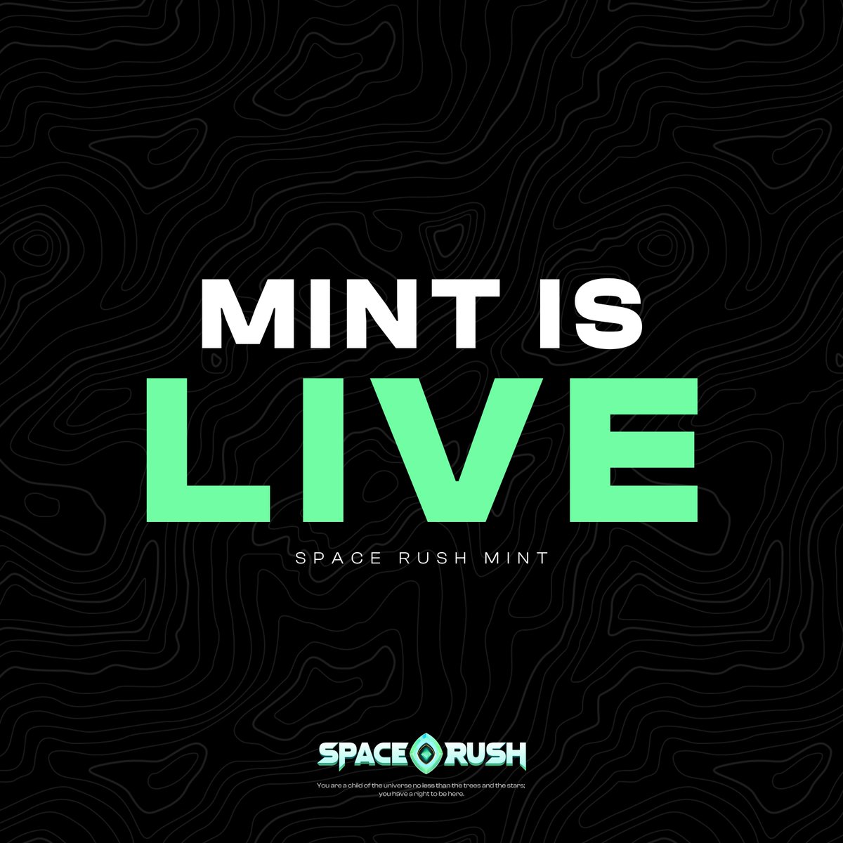Public Mint is LIVE.

Its time to become a Bounty Hunter.

mint.spacerush.io