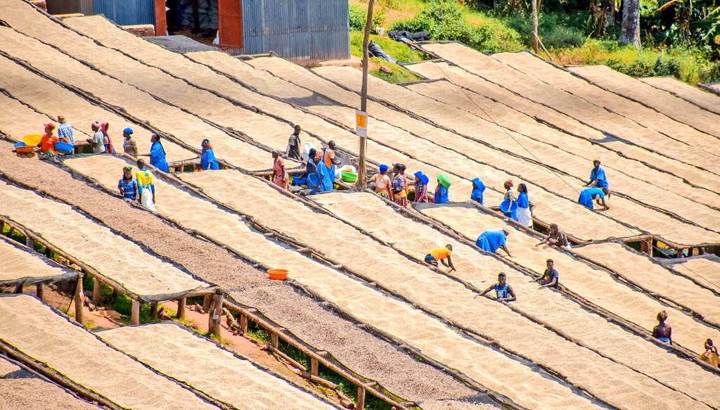 ⚔️ CAPTAIN NYAWE🇷🇼 (@kwizeraben22323) on Twitter photo #Kwibohora31 INTAMBWE MU NTEGO !
Akarere kacu ka KIREHE ku Isonga, turizihiza ibirori dufite ibyagezweho twishimira. Umuturage ku isonga mu bikorwa byose.
<a href="/VisitKirehe/">Visit Kirehe 🇷🇼</a> <a href="/kaberacallixte/">Prof. Kabera Callixte(Ph.D, MBA Finance, Bsc)</a> <a href="/rangira/">Bruno Rangira</a> <a href="/NzirabatinyaMo4/">Nzirabatinya Modeste</a> <a href="/JanviereMukand4/">Janviere Mukandayisenga</a> #Kwibohora31 INTAMBWE MU NTEGO !
Akarere kacu ka KIREHE ku Isonga, turizihiza ibirori dufite ibyagezweho twishimira. Umuturage ku isonga mu bikorwa byose.
<a href="/VisitKirehe/">Visit Kirehe 🇷🇼</a> <a href="/kaberacallixte/">Prof. Kabera Callixte(Ph.D, MBA Finance, Bsc)</a> <a href="/rangira/">Bruno Rangira</a> <a href="/NzirabatinyaMo4/">Nzirabatinya Modeste</a> <a href="/JanviereMukand4/">Janviere Mukandayisenga</a>