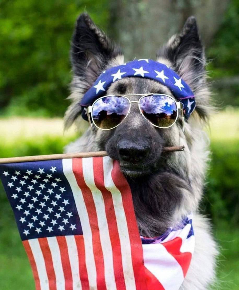 Let’s Celebrate Independence Day.  🇺🇸💥💥💥💥 July 4th.