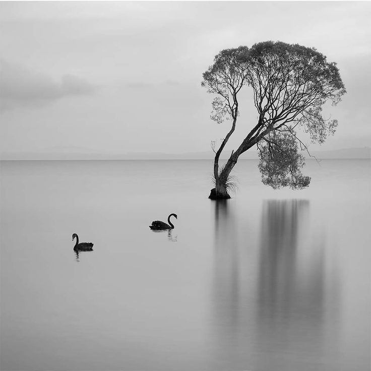 Gün gelir,
Herkes kendi yoluna gider.
Herşey nasıl başladıysa öyle biter..
