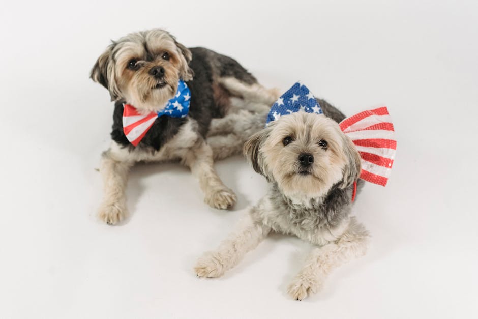 GardensRv's tweet photo. 🎉Happy Independence Day! 🎆 Today we celebrate freedom, unity, and the brave souls who fought for our rights.  May your day be filled with joy, laughter, and patriotism! ❤️🤍💙 #FourthOfJuly #USA https://t.co/1l04AnXkGF