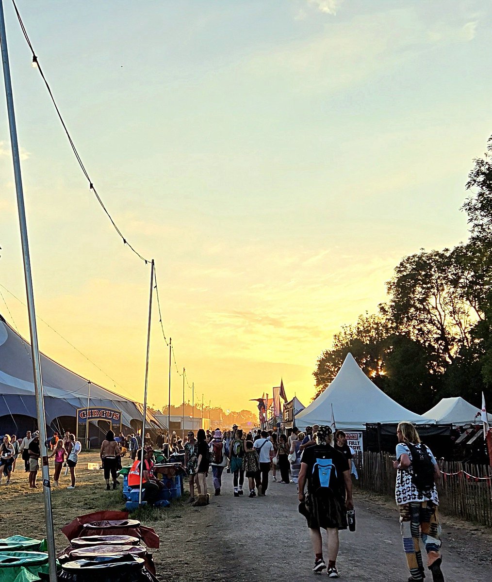 GlastoMole tweet media