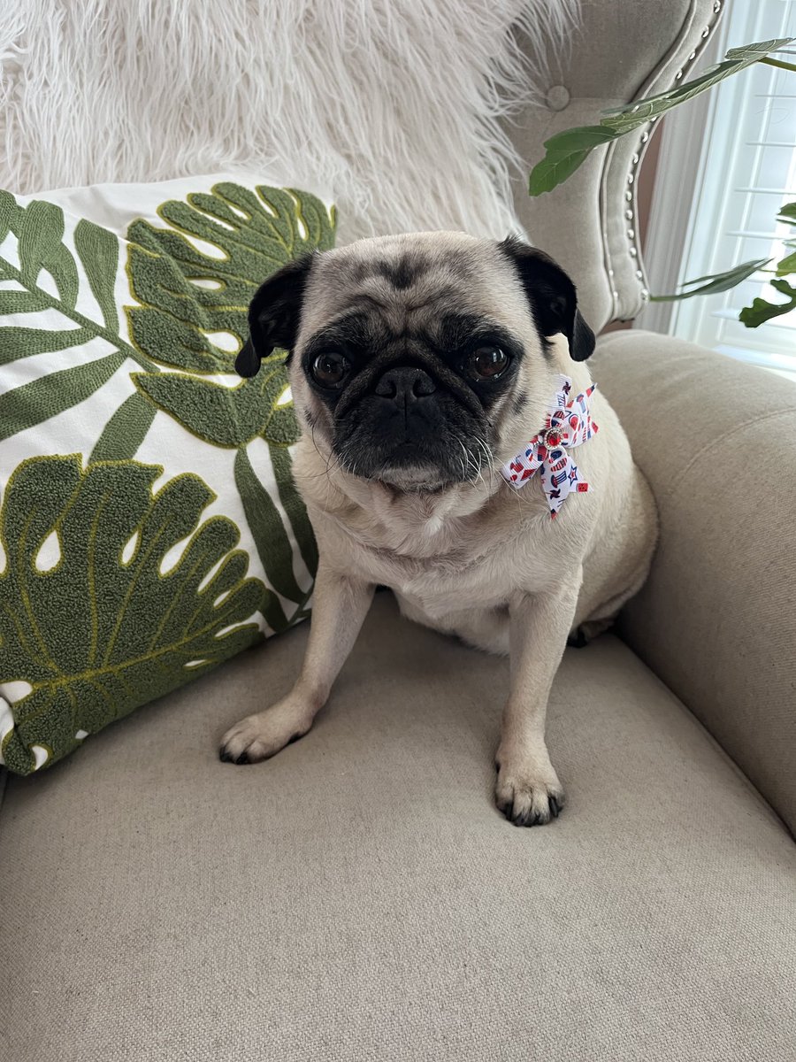 Happy 4th my frens. Have a beautiful and safe day.🧨💔🎆