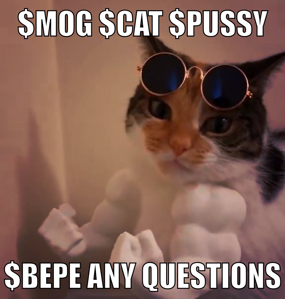 BLKSHEEPNTX's tweet photo. Waiting for alt coin season to official start? Grab you a bag of $CAT $PUSSY $MOG and $BEPE.
All low market cap coins and your extremely early. You are also extremely under exposed.
#TANGGANGCODED https://t.co/7WpxqJDHJg