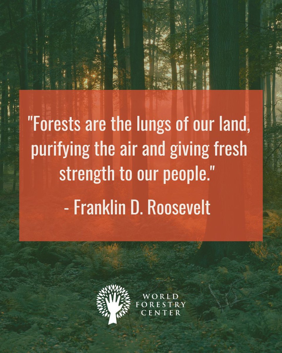 Happy 4th of July! Our Discovery Museum is open today from 10 am - 4 pm. 

"Forests are the lungs of our land, purifying the air and giving fresh strength to our people."  - Franklin D. Roosevelt 

#fourthofjuly