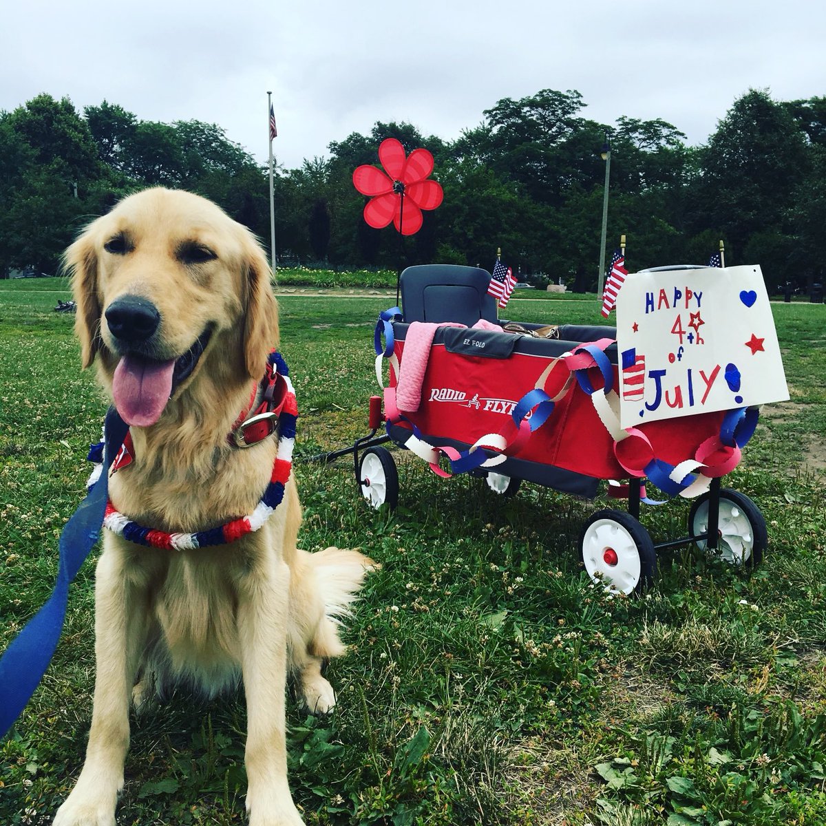 AndreaGuthmann's tweet image. Happy July 4th from #IndependencePark #Chicago! 🇺🇸Do your civic duty by staying up on what’s going on in your community & country. @BpopeTV @mitchtrout & @MariahWoelfel help you do that @WBEZreset 📻@WBEZ wbez.org/reset-with-sas…