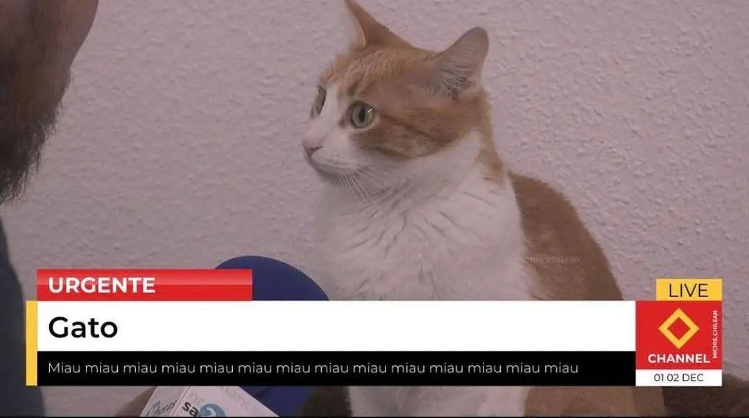 urgente