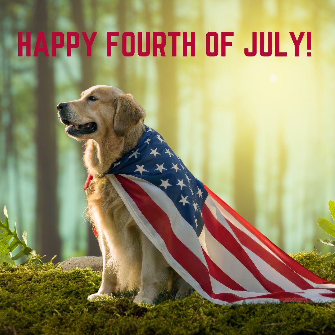 🎯🇺🇸 Happy 4th of July from Sanders Archery! 🇺🇸🎯

We hope your Independence Day is filled with fun, family, and a little target practice. Stay safe, shoot straight, and enjoy the red, white, and BOOM! 💥🎆🏹