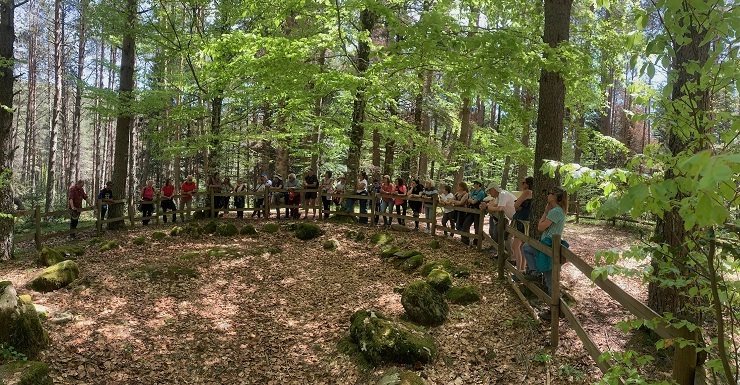 En el corazón del Pirineo aragonés, la Selva de Oza guarda un misterio: La Corona de los Muertos, círculos de piedra que datan del 3000 a.C.
¿Monumentos funerarios? ¿Cabañas?
Lo único seguro: un paisaje que deja huella. 🌲

#SelvaDeOza #ValleDeEcho #PirineoAragonés #HistoriaViva
