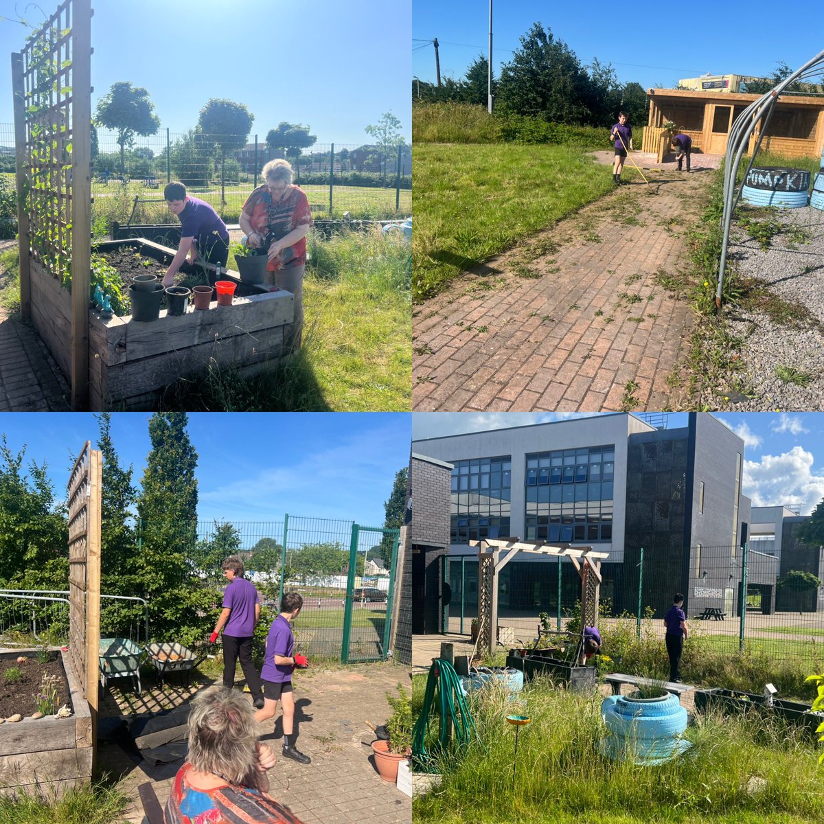 CCYD_SS's tweet photo. Busy week, but staff and learners have managed to have a few hours in the garden with 8C9 and the wonderful Mrs Roberts and Mr Lilly have been in the garden every day ⭐️⭐️ https://t.co/dTUh9I6quE
