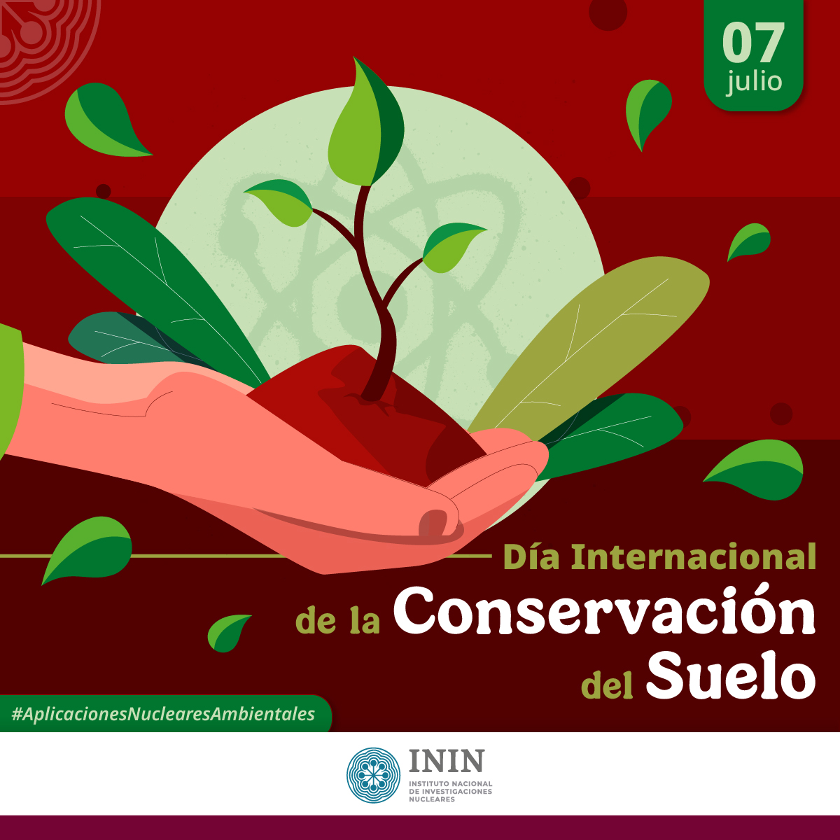 inin_mx's tweet image. La #ConservacióndelSuelo es crucial para garantizar la seguridad alimentaria, la biodiversidad y la lucha contra el cambio climático. La aplicación de técnicas nucleares en la agricultura mejora la gestión del agua y los nutrientes, para optimizar el rendimiento de los cultivos.