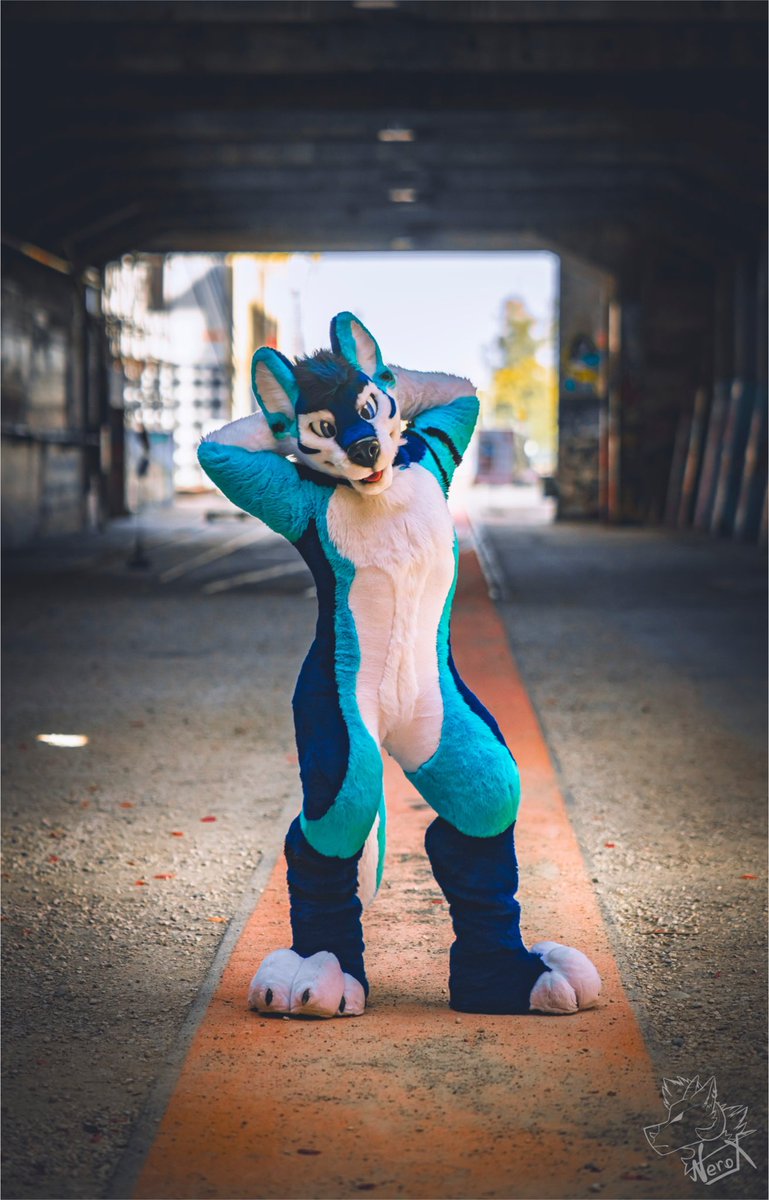 Happy #FursuitFriday everyone! And of course, to all those attending — have an amazing #Anthrocon2025! Have a blast, friends! 💙🥰

📸: <a href="/fur_nerox/">Nerox</a>