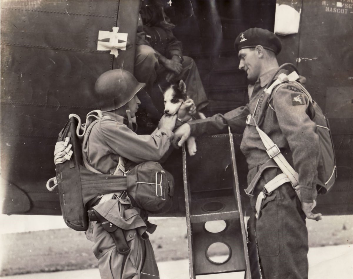 16AirAssltBCT's tweet image. Wishing US paratroopers a happy 4th of July!
Our nations' historic differences are now but a storm in a teacup☕️ and - since the formative years of #airborne forces in WW2 - our partnership has only been #StrongerTogether!
🇬🇧🤝🇺🇸