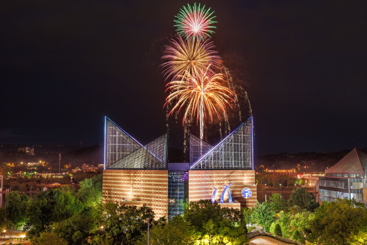 Happy 4th of July, fins! 🎆 
Fishing everyone a safe and happy holiday weekend!