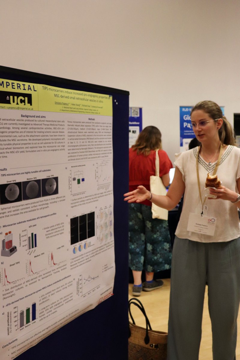 BMVBSoc's tweet image. What a great collection of posters at #BMVBS2025!!