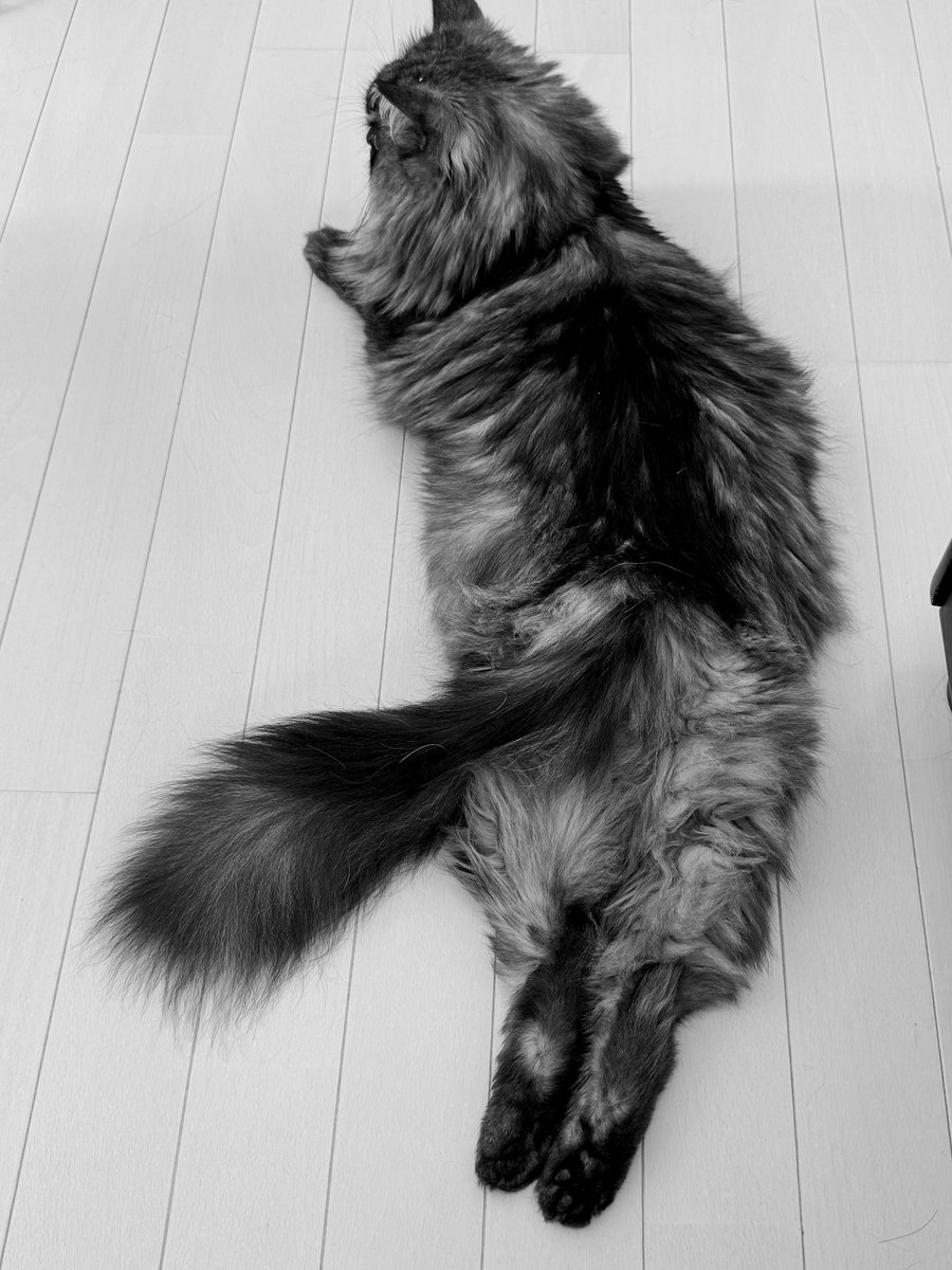 ツアー来てね！
eplus.jp/frederic/