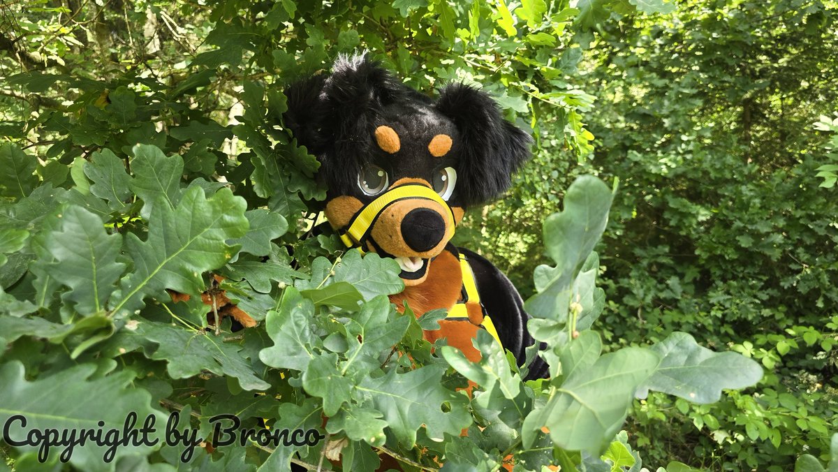 Happy #FursuitsFriday 
🪡 <a href="/Sasa_Creations/">Sasa Creations🌸🔜EF|TFI|EAST</a>