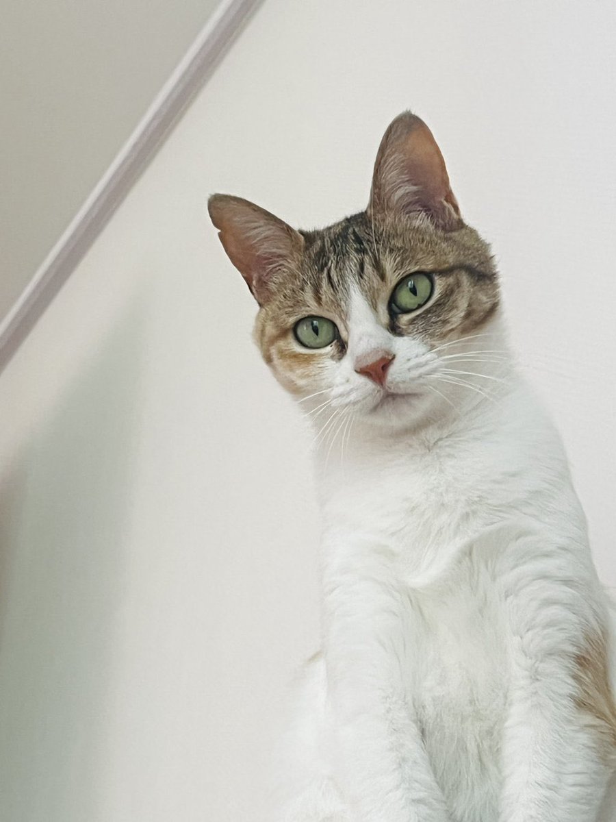 SIHYE♡N! tweet media