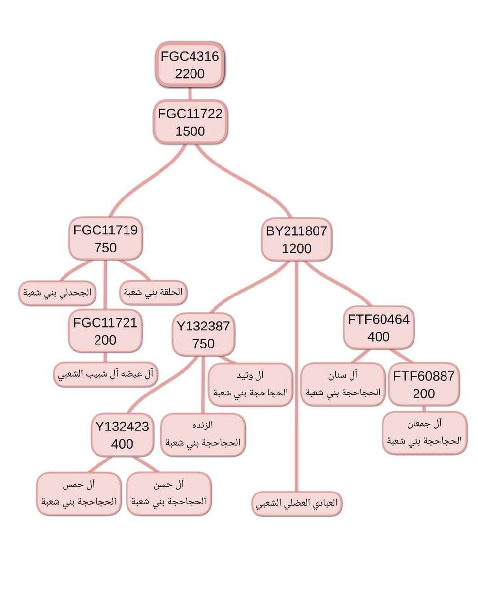 qpdbqbdb's tweet photo. #FGC7

تكتل قبيلة  #الحجاحجه_بني_شعبه 

أسفل التحور #FGC11722 https://t.co/44qBidT05V