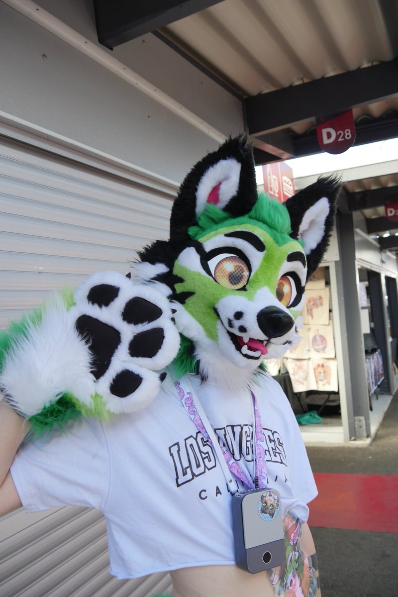 Seizuko_AQ's tweet image. Another one from Japan Tours Festival ~
I'm cute ? 🏳️🌈💗
#FursuitFriday