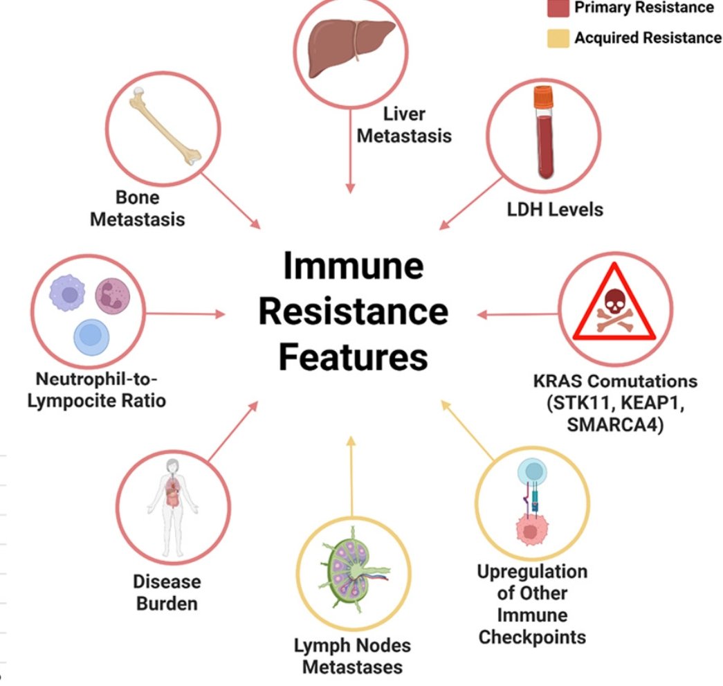 RobertoFerrara_'s tweet image. ❄️Winter of cancer immunotherapy is here. 𝐀𝐥𝐥-𝐜𝐨𝐦𝐞𝐫𝐬 𝐚𝐩𝐩𝐫𝐨𝐚𝐜𝐡 &amp;amp; 𝐍𝐞𝐭𝐰𝐨𝐫𝐤-𝐞𝐟𝐟𝐞𝐜𝐭 slowed progress-we’ve hit a plateau. 
Time to prioritize innovation over convention!
Editorial out in @JTOonline bit.ly/4eEVcv4
@FabioSalomone22 @AntonioNuccio01