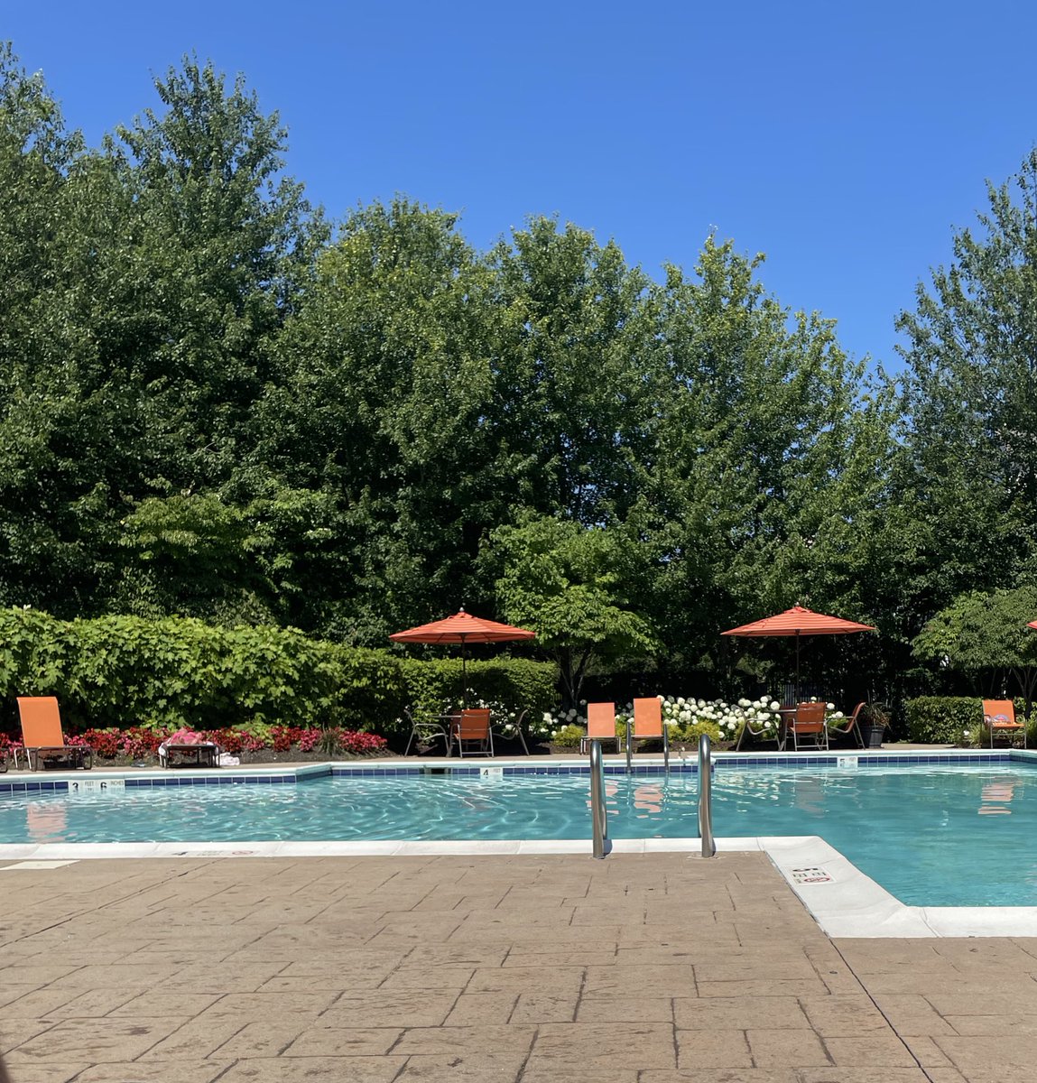 Happy Independence Day 🇺🇸

Any fun plans ? 

Pool day here