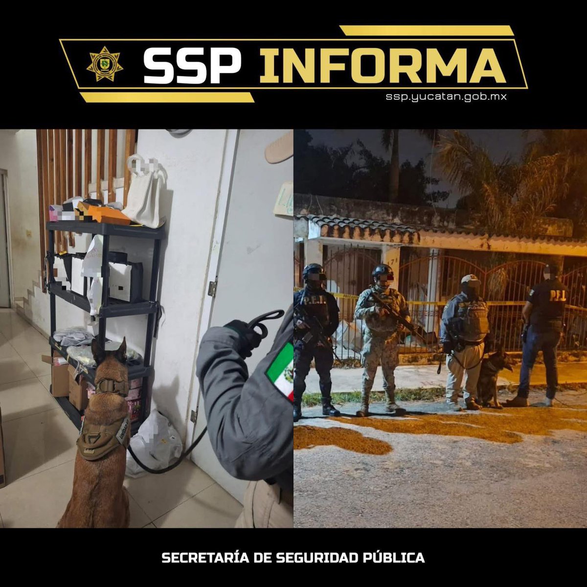 #Merida

CATEO ANTIDROGAS EN PREDIO DE COLONIA GARCÍA GINERÉS

Más de 2.8 kilogramos de marihuana en hierba seca y 50 piezas de wax (concentrado) fueron asegurados ayer durante el cateo a un predio  de la colonia García Ginerés, al Centro de Mérida.