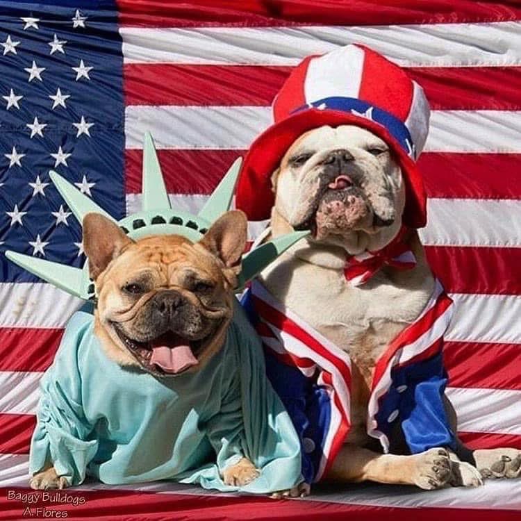 Happy Independence Day y’all.