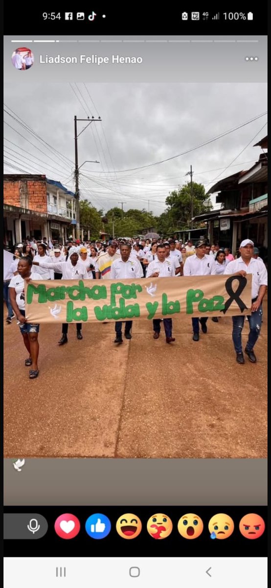 Marcha en Calamar, Guaviare, encabezada por su alcalde Farid Camilo Castaño, el alcalde Willy Rodriguez de San José y miembros del gabinete departamental contra la violencia de grupos armados ilegales. 
El gobierno nacional debe atender esta delicada situación.
Solidaridad!