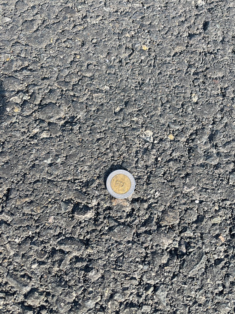 Claudio Fonseca tweet media