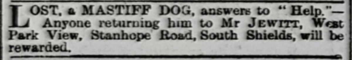 Just_JanisB's tweet image. Got to have been a bit awkward calling it back when it got off its lead in the park, surely? From 1897 🐶