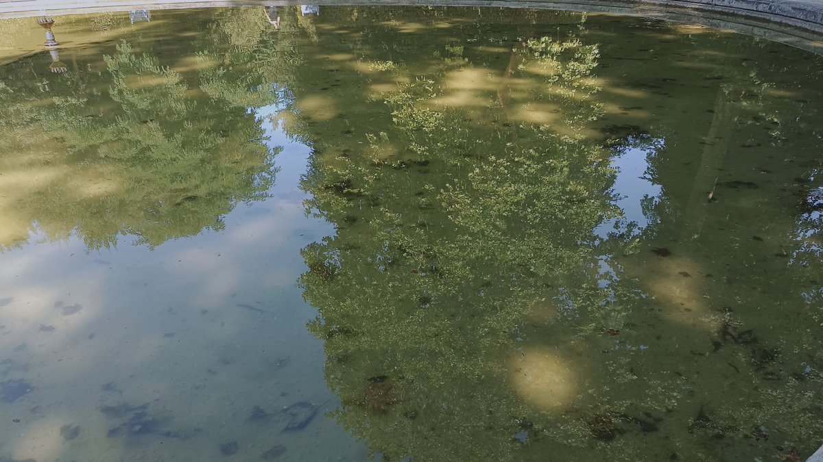 Hiroko Komiya (@komiyahiroko) on Twitter photo 