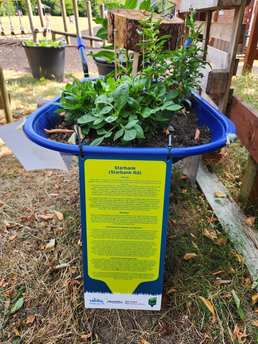 SFE School Support tweet media