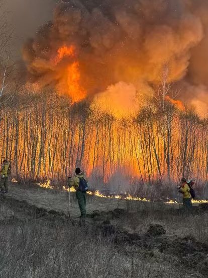 One of the cool things about this platform is that firefighters from around the world send things in all the time. Here is a fire in the Trans-Baikal region of eastern Siberia that a subscriber sent in this week.

Extreme fire activity in the boreal forest regions that extend