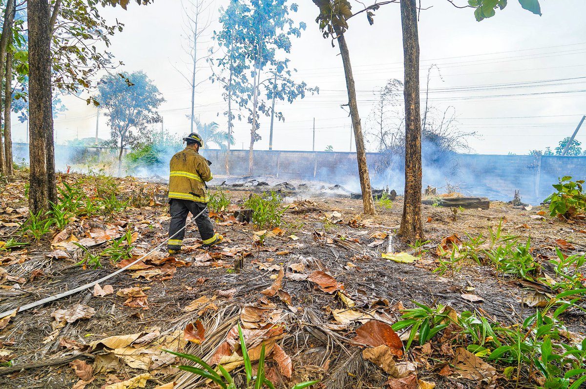🚨🔥 Nuestros #Bomberos acudieron a una emergencia registrada en una hacienda, pasando el cruce de Chilintomo, donde una quema de maleza se salió de control.

Más información ⬇️
facebook.com/share/p/1ZMSi2…