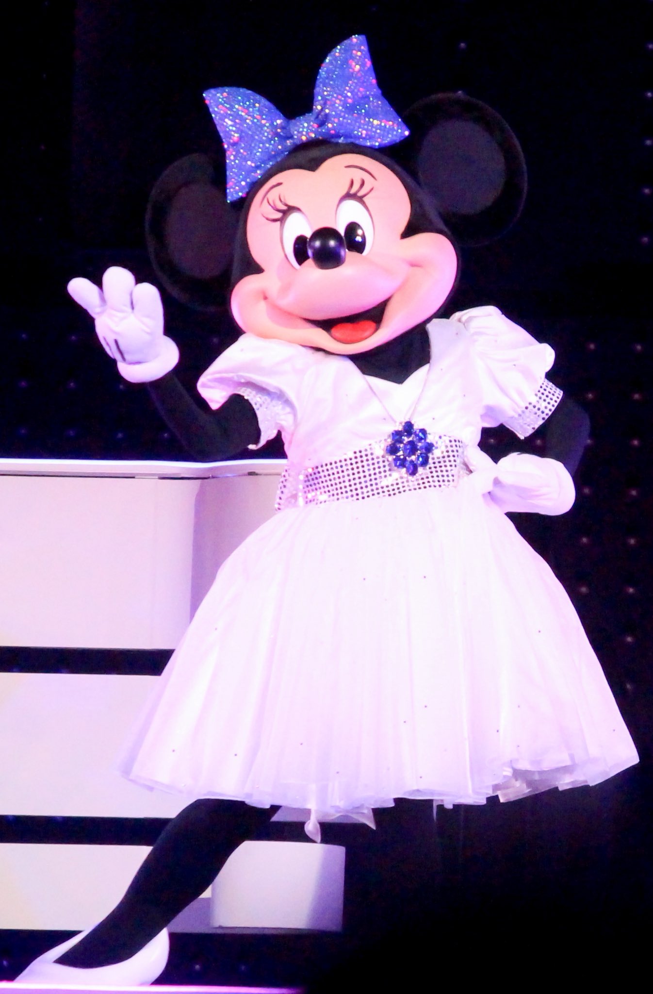 ミニーちゃん からすてす on X: 