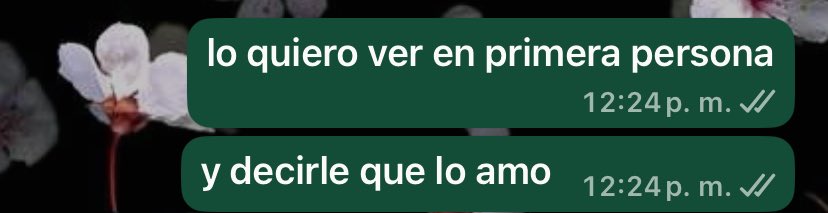 Daddy va a estar en el parque de lomas predicando, mi novio me dice: para que queres verlo de nuevo, ya lo viste.
Mi respuesta:
(Ni fantasiosa yo)