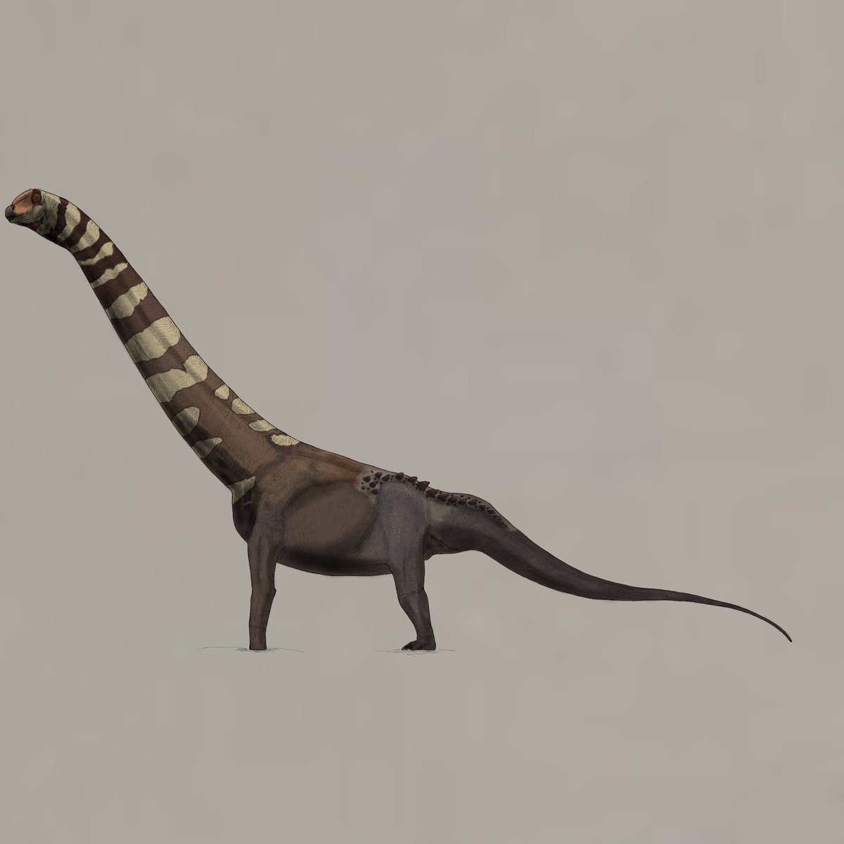 VaranusFatus's tweet photo. Puertasaurus with color from The Isle https://t.co/cq6H5wYfrI
