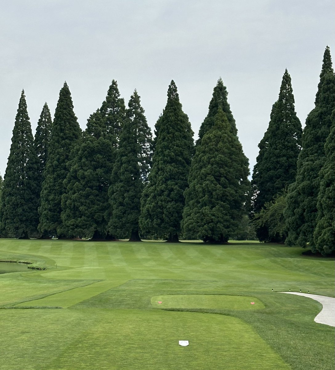 For the superintendents out there 

Question- how many guys double cut once a week or double cut Greens on Friday 
(We double cut Greens every Friday in season)

Columbia Edgewater County Club 

Happy 4th 🇺🇸