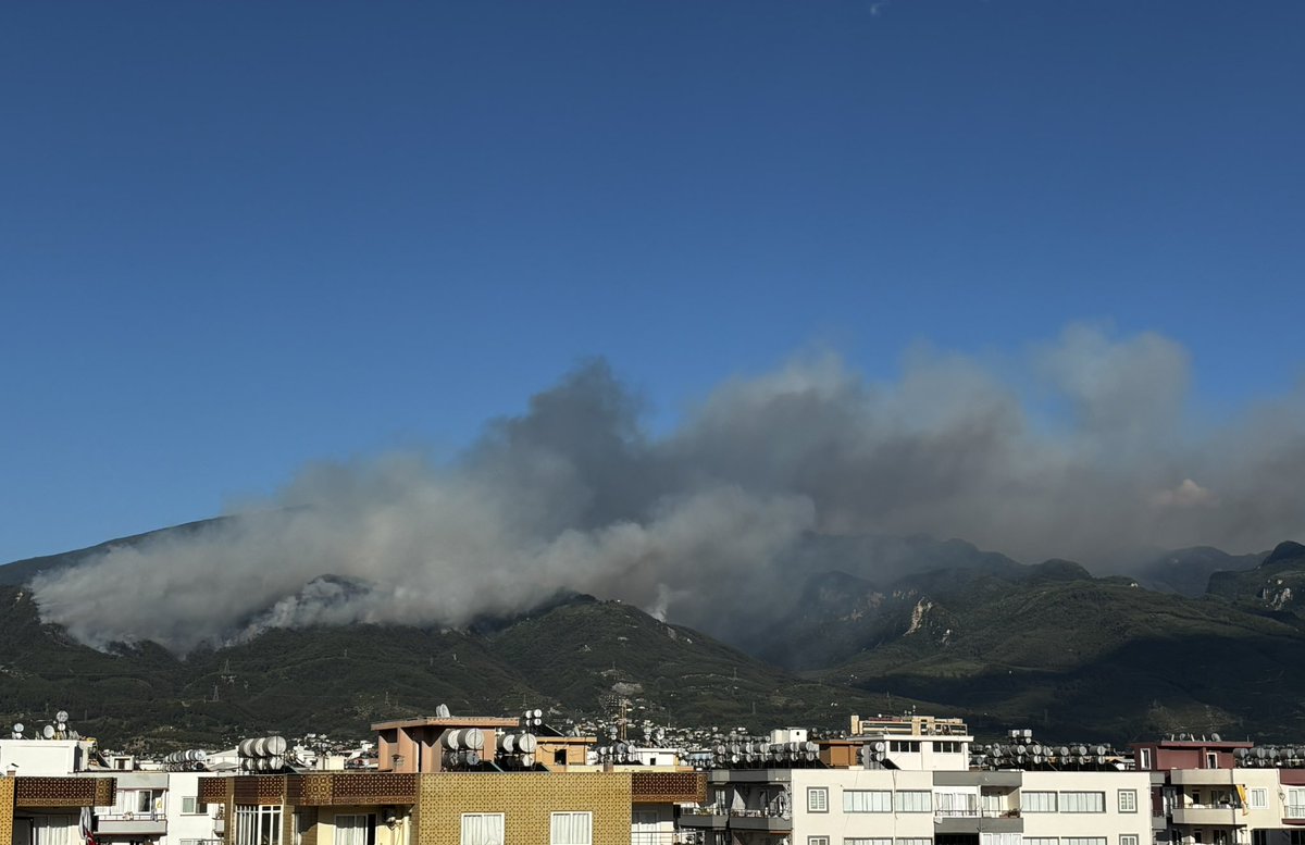 Hatay Dörtyoldaki yangin buyuyor şiddetli rüzgar nedeniyle yangın hızla yayılıyor #HATAYYANIYOR #HatayYakılıyor