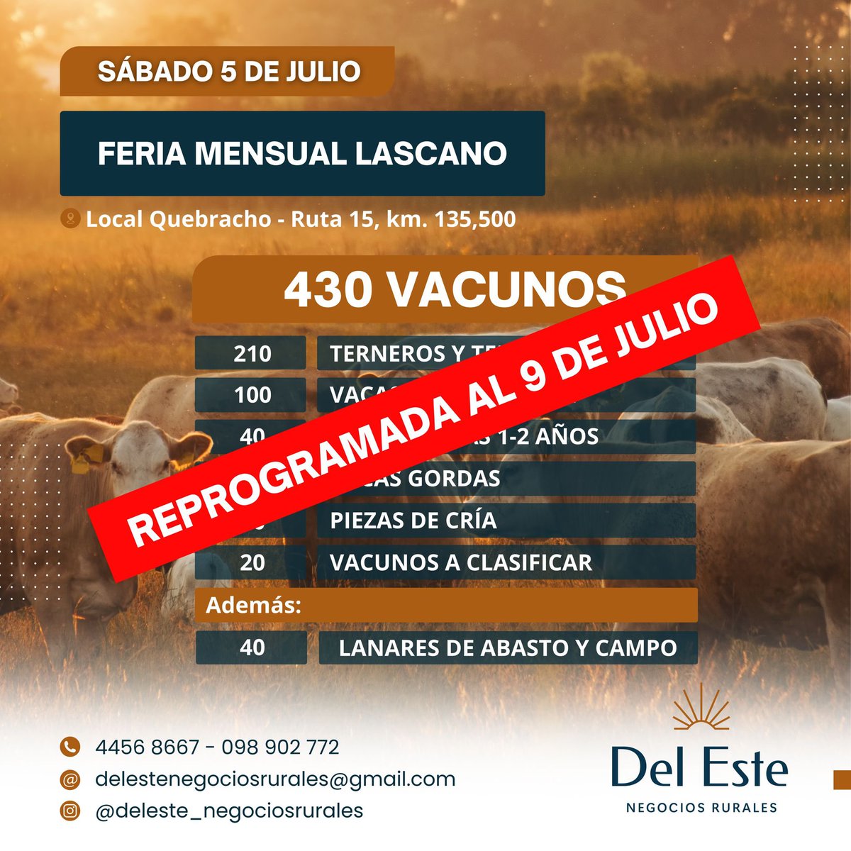 DelEsteNR's tweet photo. ATENCIÓN ⚠️ https://t.co/kBSldxf86c