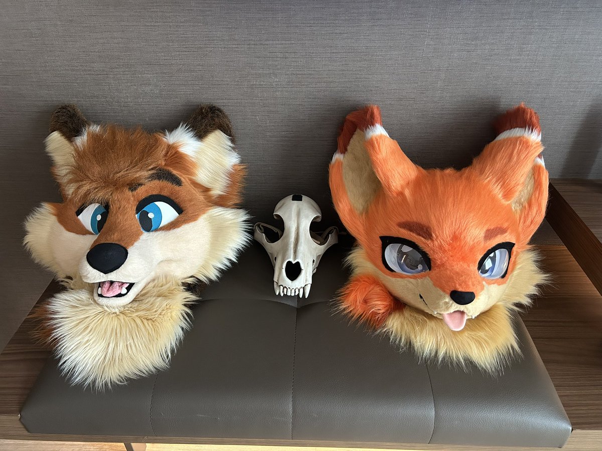 We out here #anthrocon2025 🦊🦝✨

#FursuitFriday