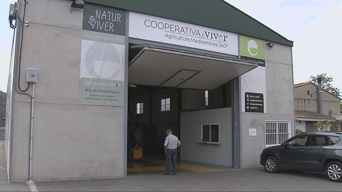 Agrosfera (@agrosfera_tve) on Twitter photo Mañana se celebra el Día Internacional de las Cooperativas y os contamos dos modelos de éxito.
🐷La de Caspe, Zaragoza, que se dedica al porcino y fabricación de piensos.
🧑🌾Y la de Viver en Castellón, en la que quieren evitar el abandono de la tierra.
<a href="/RTVEaragon/">RTVEAragón</a>
<a href="/RTVEValencia/">RTVE Comunitat Valenciana</a> Mañana se celebra el Día Internacional de las Cooperativas y os contamos dos modelos de éxito.
🐷La de Caspe, Zaragoza, que se dedica al porcino y fabricación de piensos.
🧑🌾Y la de Viver en Castellón, en la que quieren evitar el abandono de la tierra.
<a href="/RTVEaragon/">RTVEAragón</a>
<a href="/RTVEValencia/">RTVE Comunitat Valenciana</a>